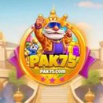 PAK75 Game